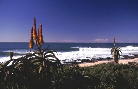 744967-travel_picture-jeffreys_bay